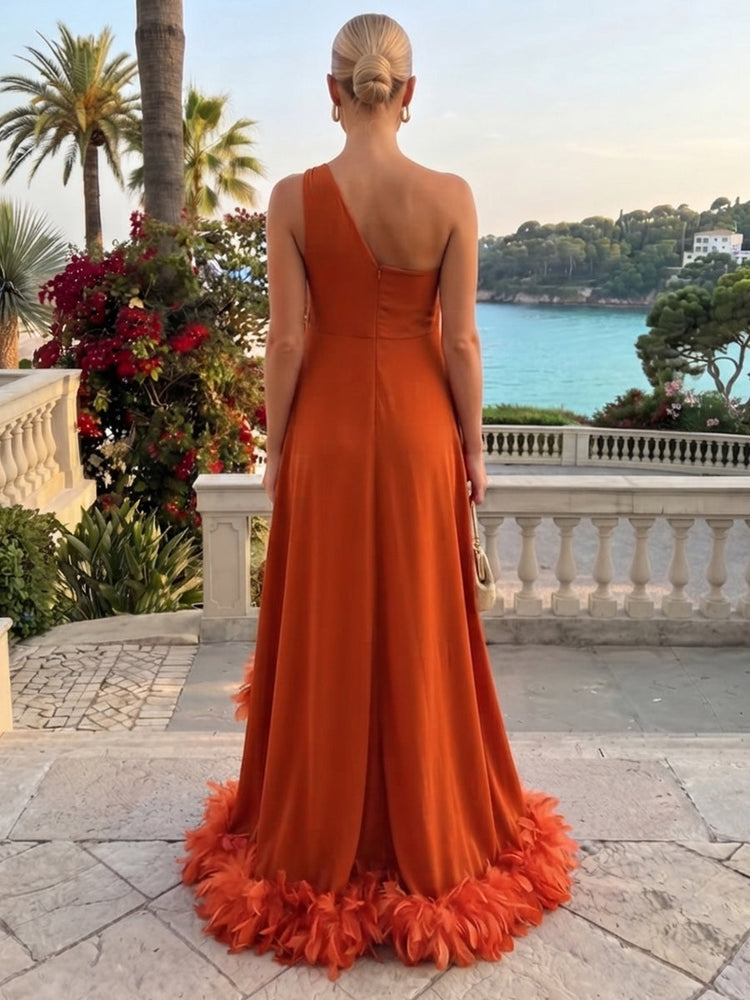 Chiffon High Low One Shoulder Evening Dresses with Natural Feather Fringe Hem